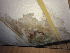 water damaged ceiling with mold