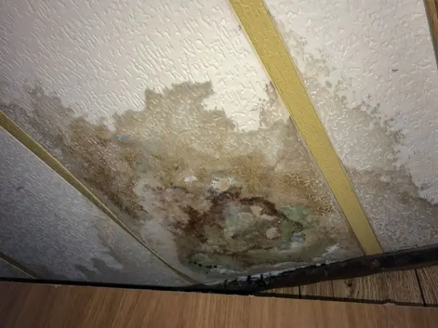 water damaged ceiling with mold