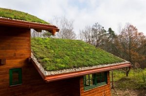 small house with green roof