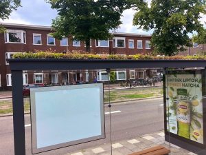 green roof on bus stop