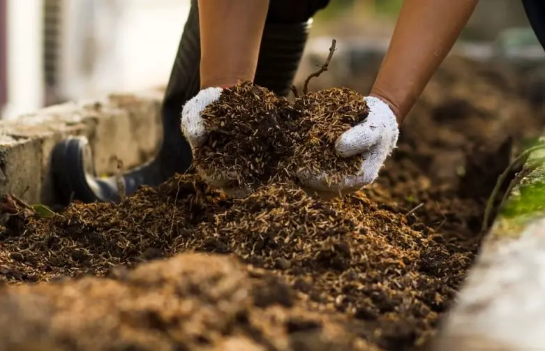 Soil mixed with compost
