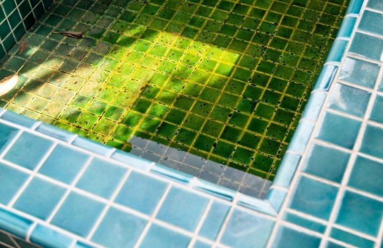 how-to-remove-algae-stains-from-pool-walls-bottom-builderbaron