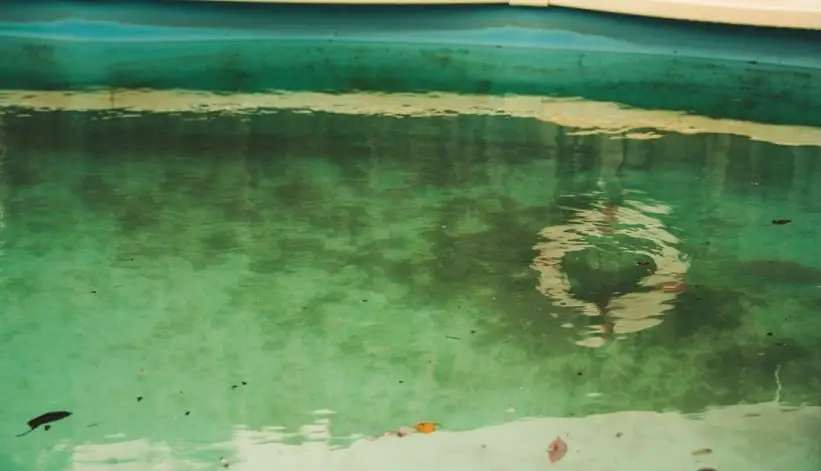 green algae in outdoor pool