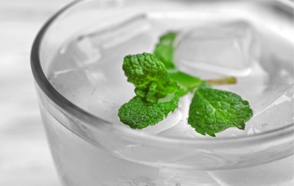 mint leaves in glass of water