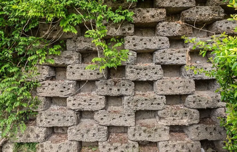 Pumice bricks in a checkerboard pattern